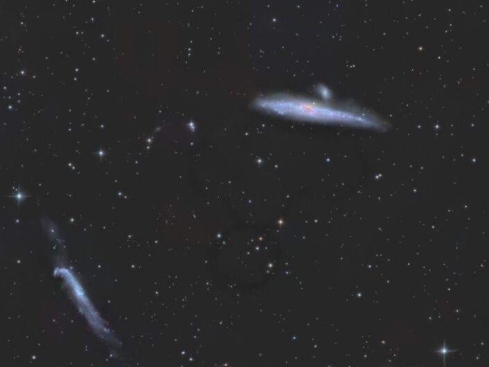 NGC 4631, Krefeld, 2013