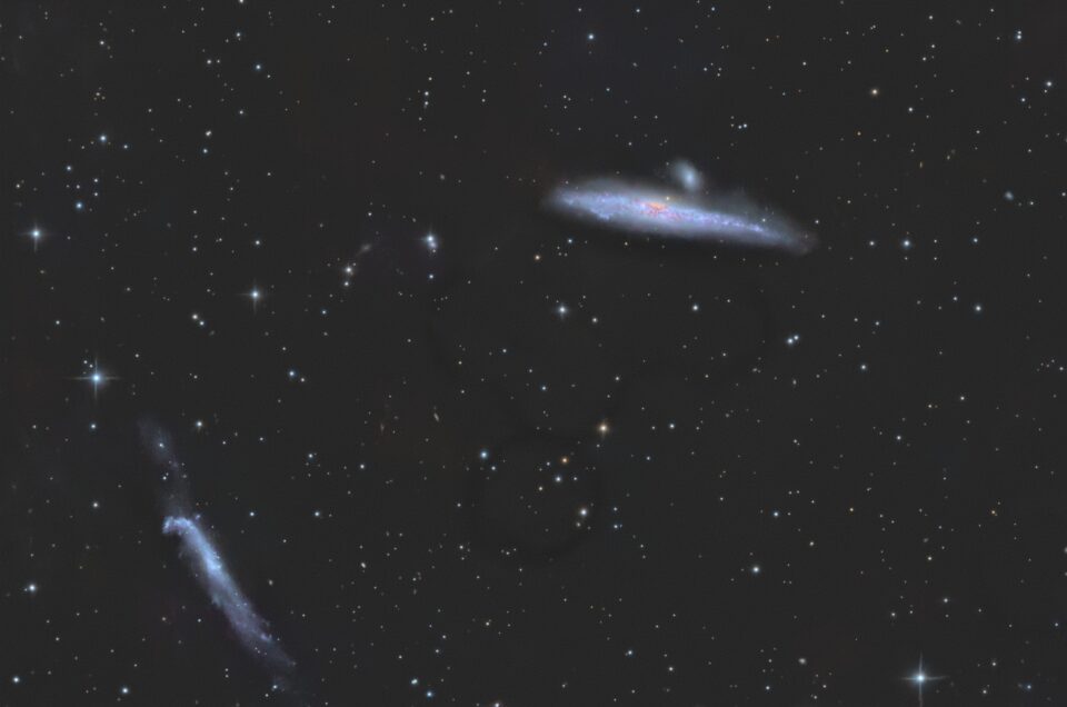 NGC 4631, Krefeld, 2013