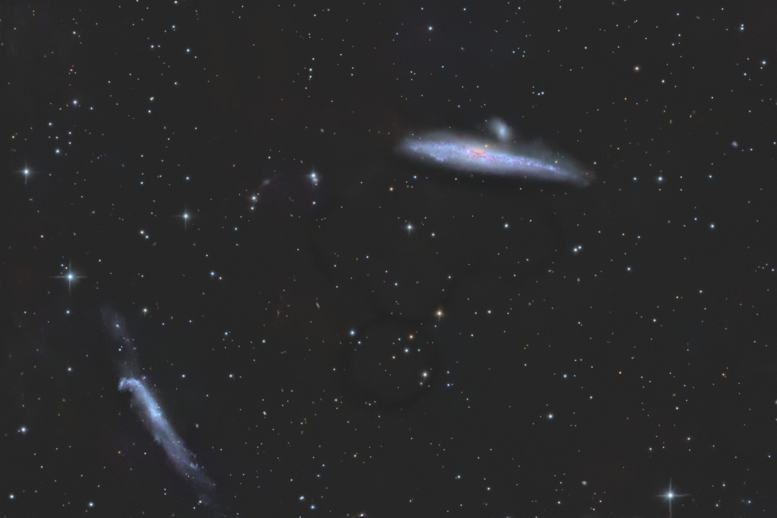 NGC 4631, Krefeld, 2013