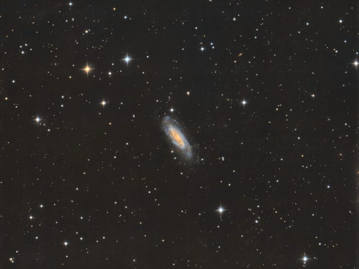 NGC 3198, Krefeld, 2021