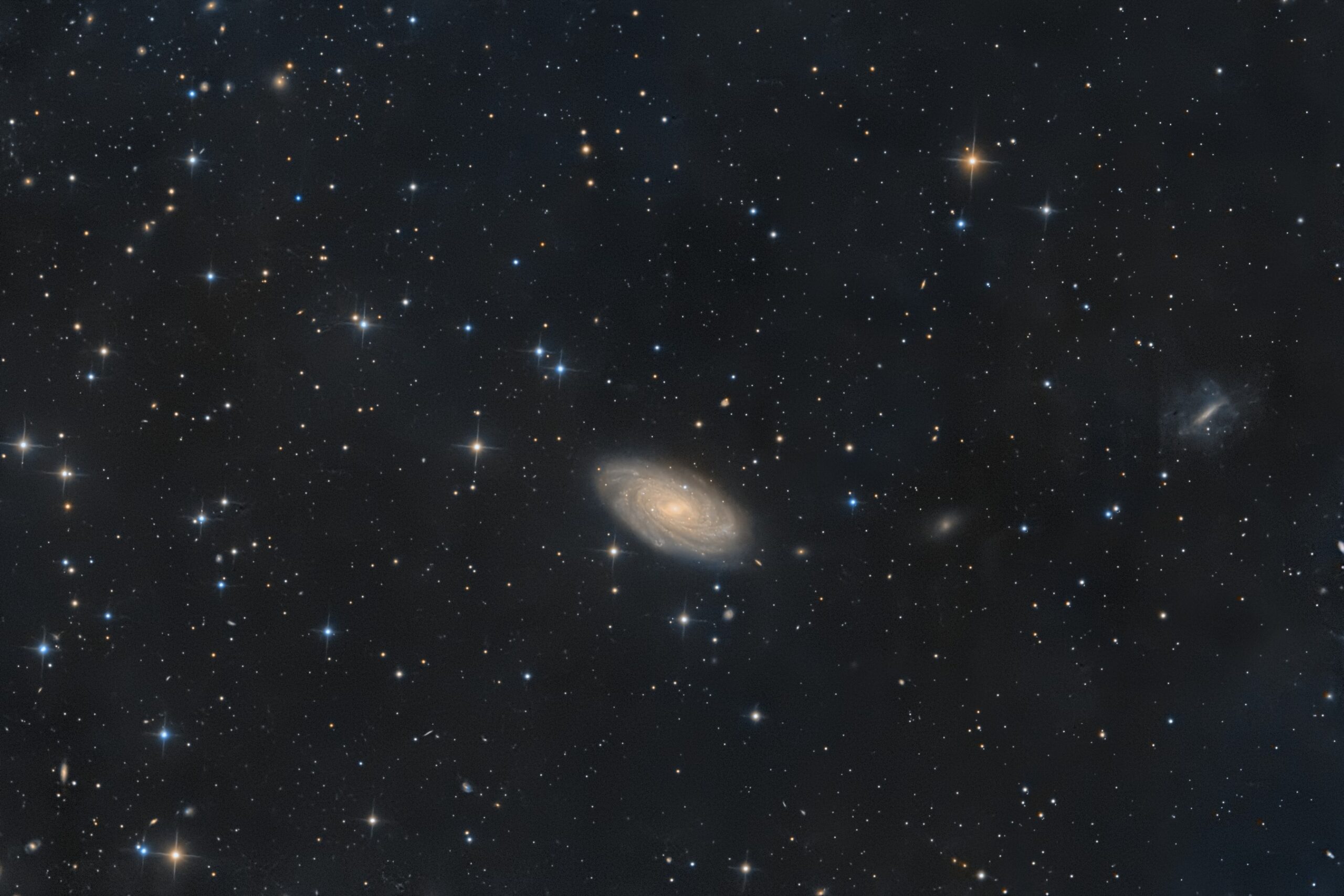 NGC 3953, Krefeld, 2022