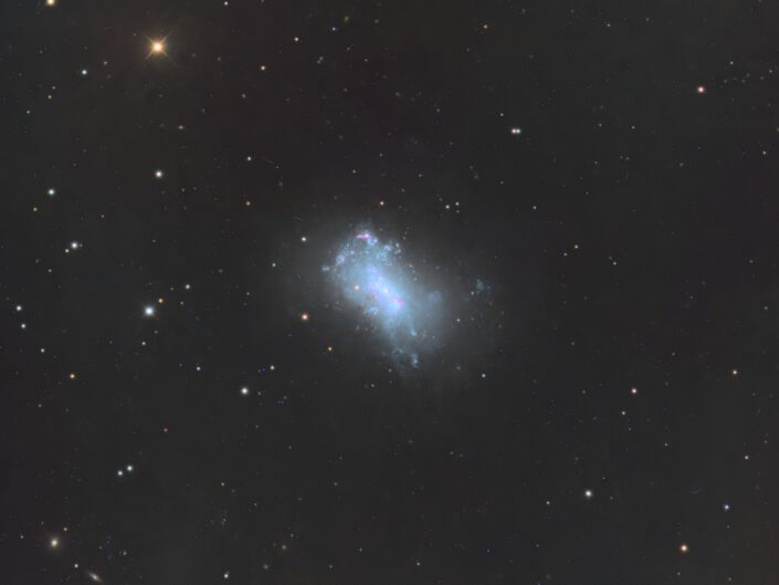 NGC 4449, Telescope Live, Spain, 2022