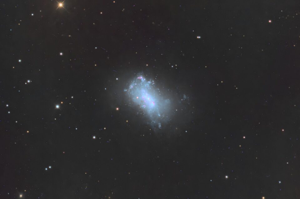 NGC 4449, Telescope Live, Spain, 2022