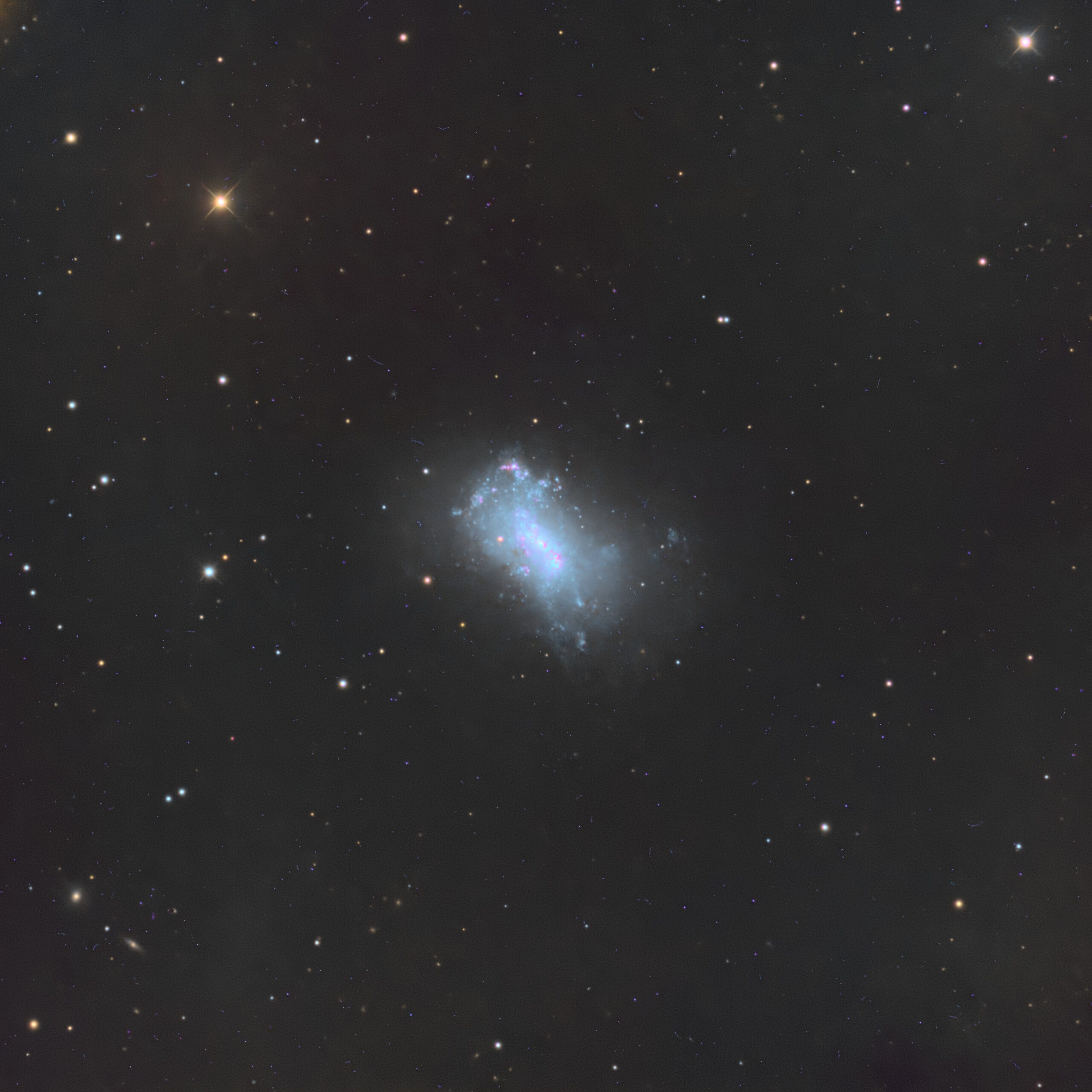 NGC 4449, Telescope Live, Spain, 2022