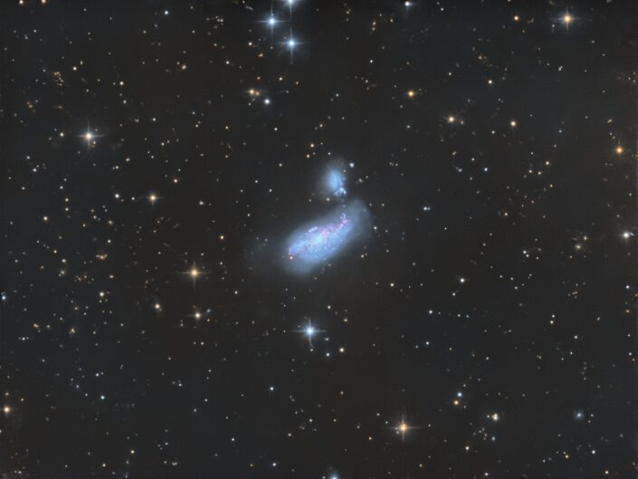 NGC 4490, Krefeld, 2016