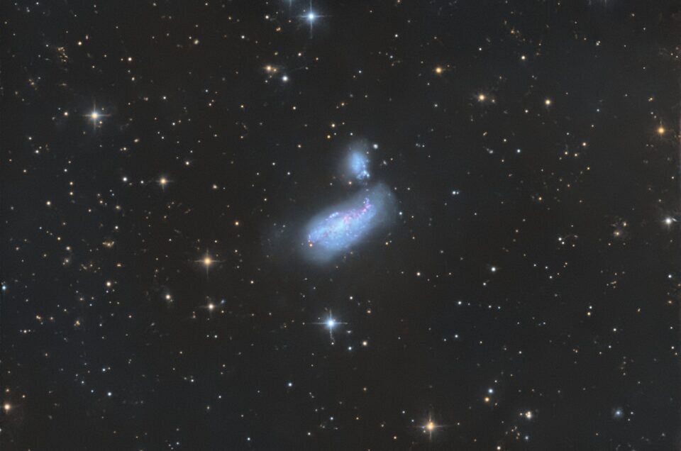 NGC 4490, Krefeld, 2016