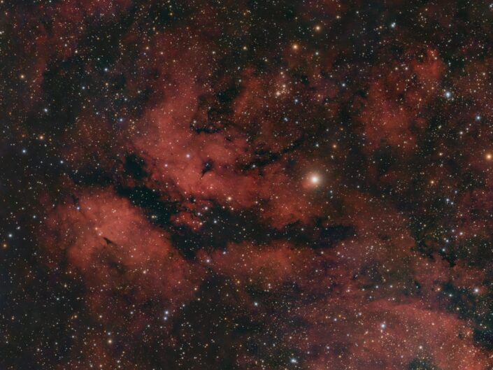 IC 1318, Varel, 2026