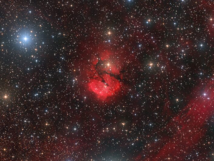 Sharpless 2-3 (Newton), VdS-remote, Hakos, Namibia, 2025
