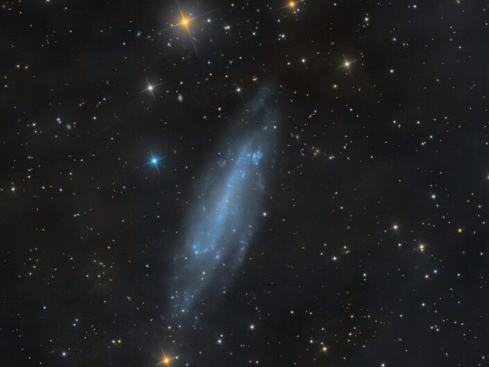 NGC 4236, Krefeld, 2018