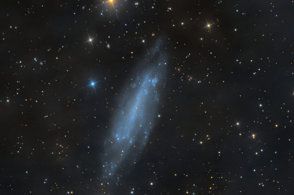 NGC 4236, Krefeld, 2018