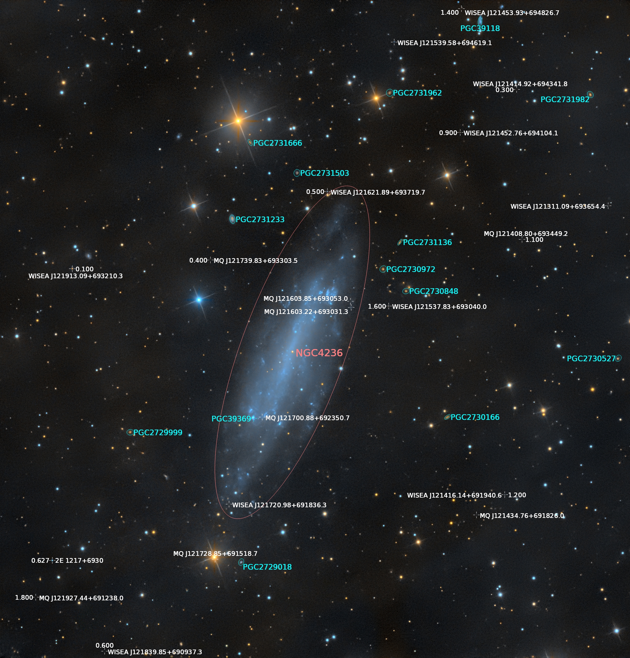 NGC 4236 annotated