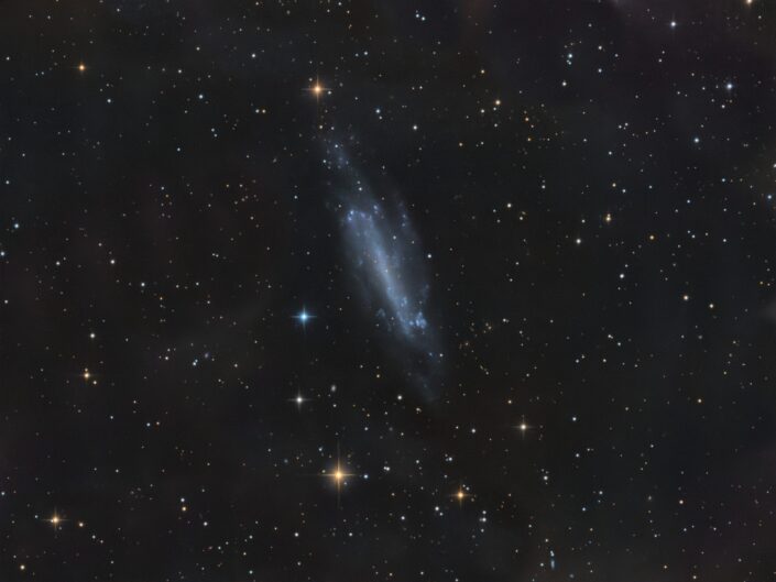 NGC 4236, Krefeld, 2015
