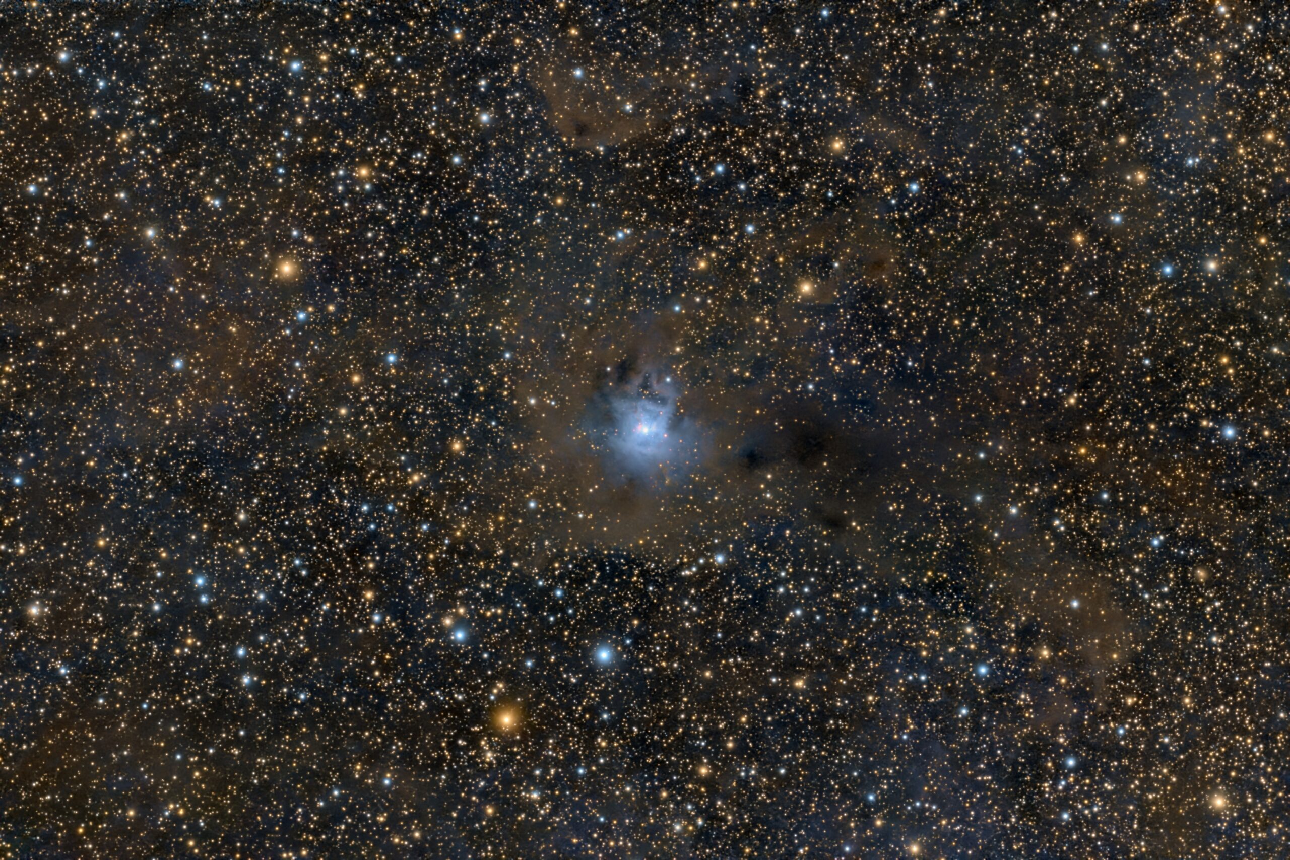 NGC 7023, Varel, 2026