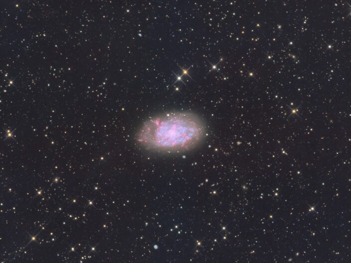 NGC 7793, Tivoli, Namibia, 2017