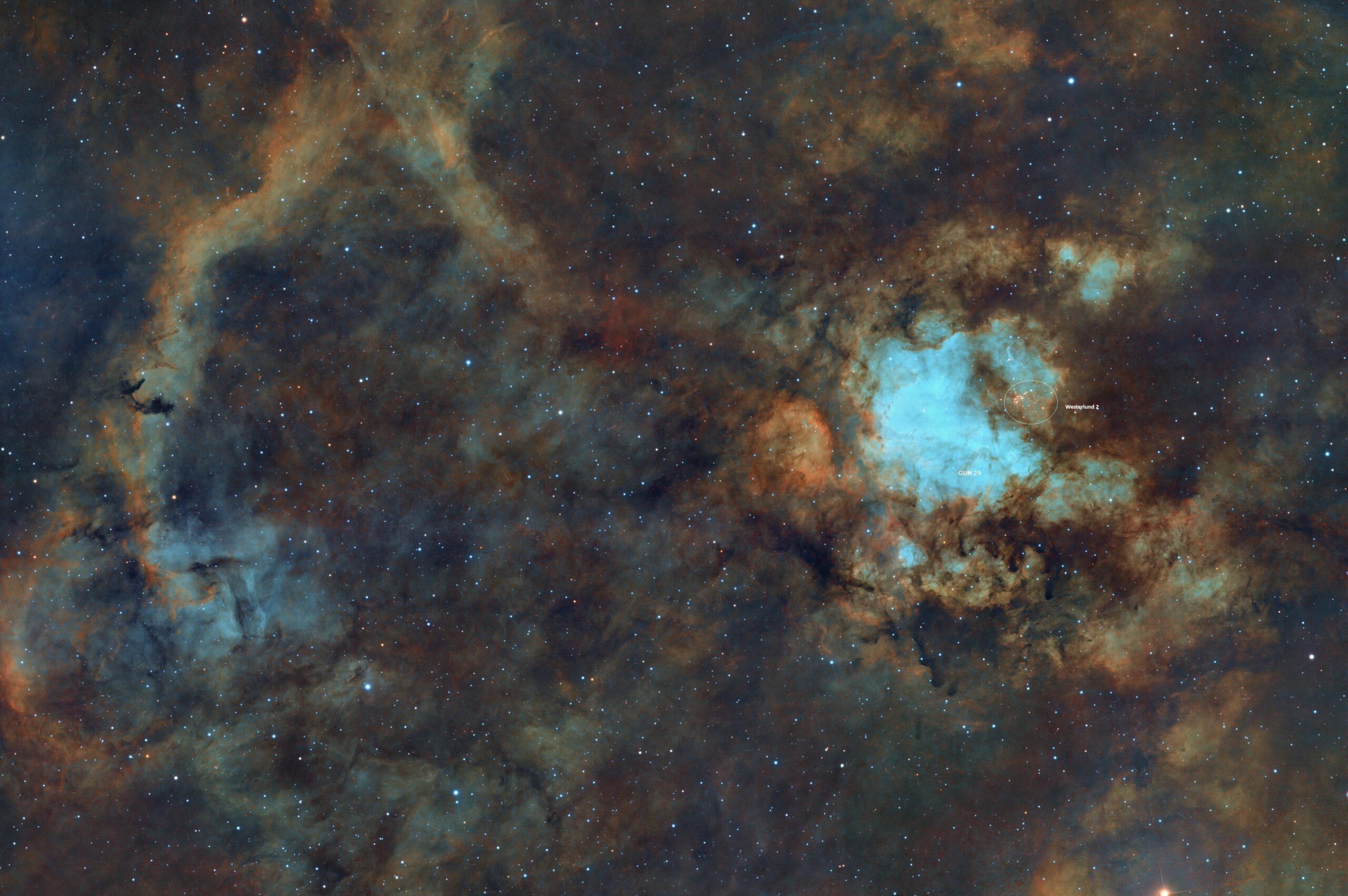 RCW 49 annotated