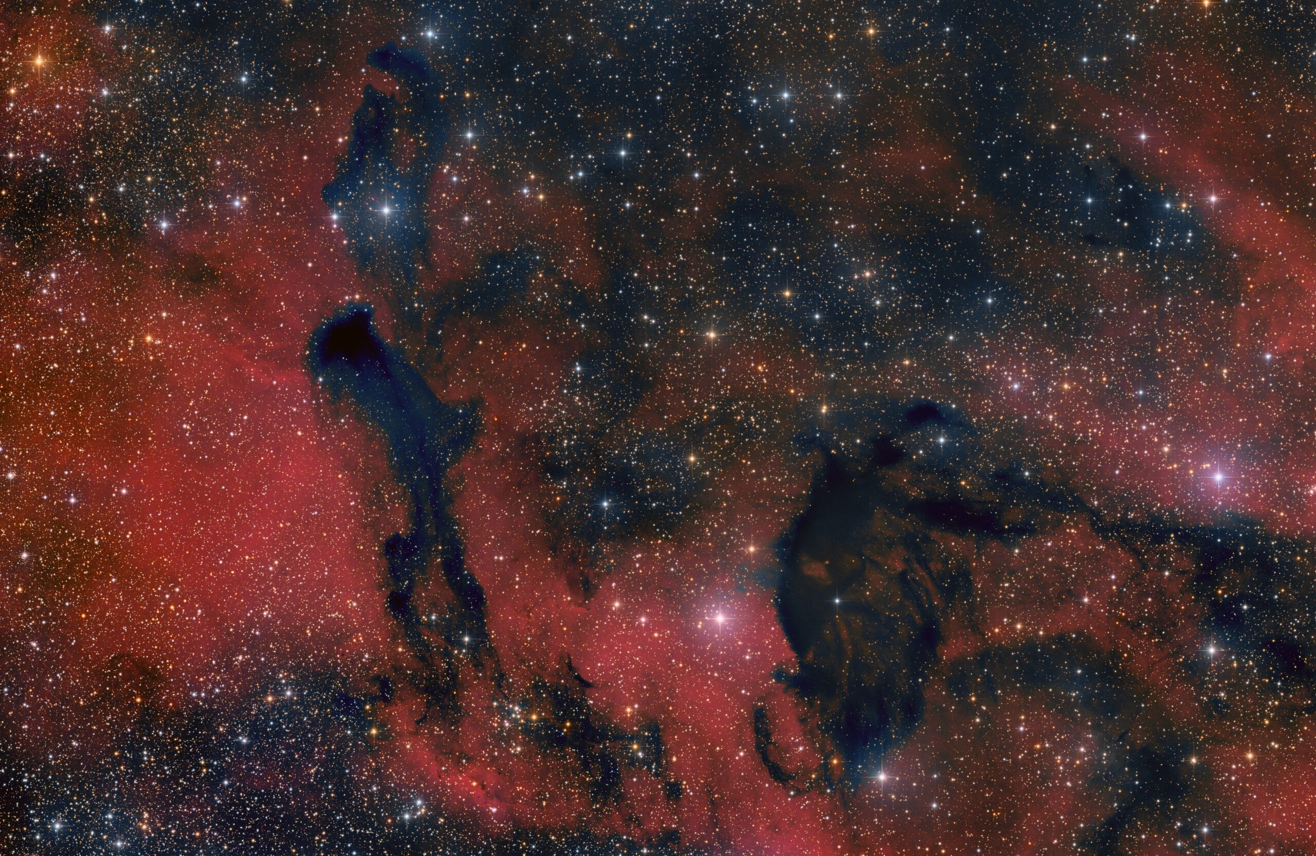 Sharpless 2-41 (Newton), VdS-remote, Hakos, Namibia, 2025