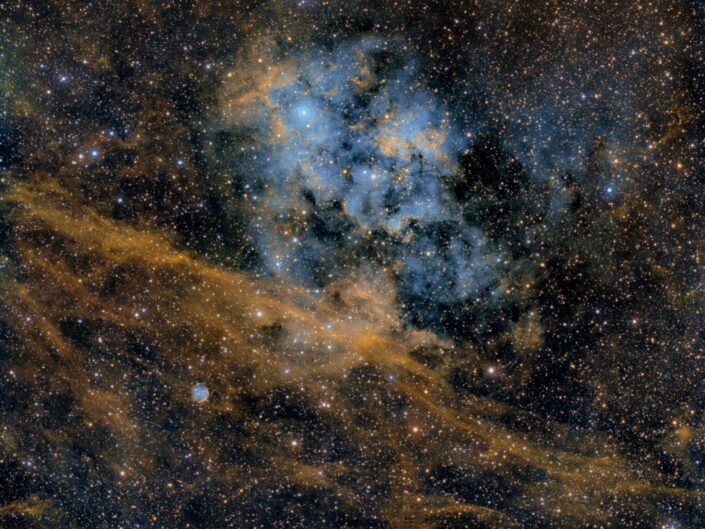 Sh2-115 DSW SHO