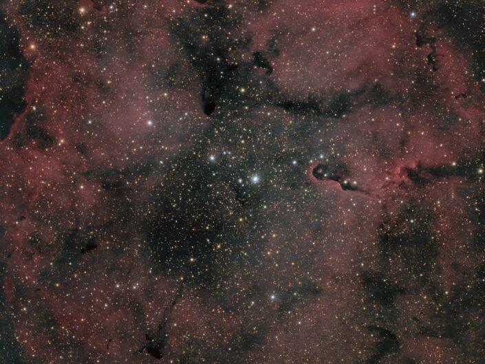 IC 1396, Varel, 2026