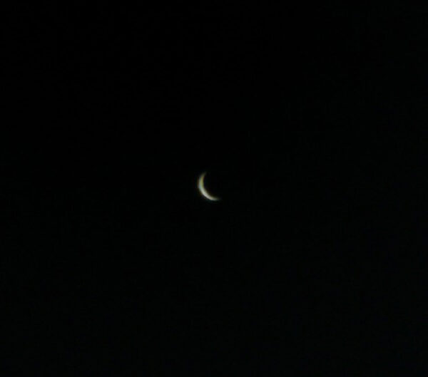 Venus, 20.05.2004, Krefeld