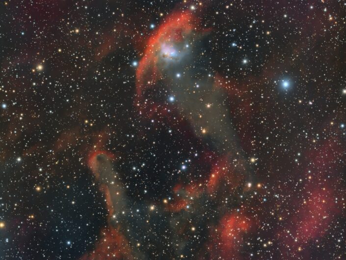 NGC 1788, Astrophotomarket, Canada, 2026