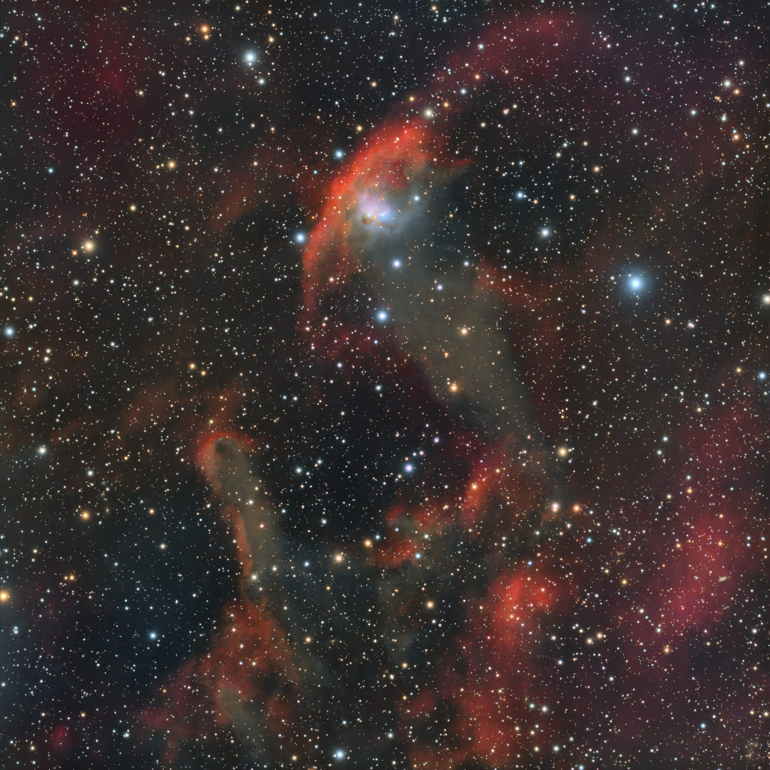 NGC 1788, Astrophotomarket, Canada, 2026